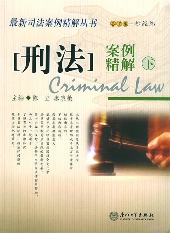 刑法案例精解·下