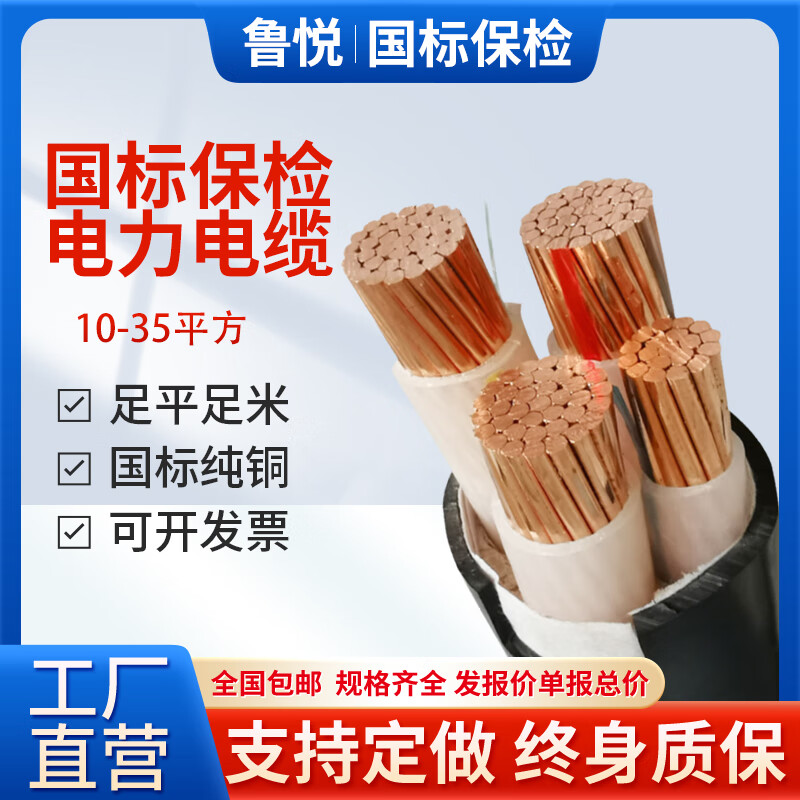 国标保检YJV铜芯电缆线3 4 5芯10 16 25 35平方三相四线电线户外 YJV2*10/国标保检测（10米）