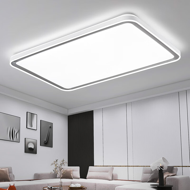 雷士照明(NVC)普瑞全光谱护眼吸顶灯客厅大灯led语音智能卧室餐厅全屋灯具灯饰 【普瑞全光谱】智能-快装/两室两厅3