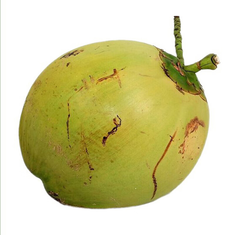 海南新鲜椰子青椰子 带皮青椰子炖椰子鸡大果椰奶冻椰宝 4个单果4斤