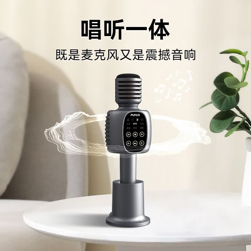 Punos/博浪沙【性价比高】40W双喇叭户外k歌麦唱歌话筒音响一体麦自带声卡TWS蓝牙手机录歌无线麦克风 KG6 标准版【收纳包+豪礼】