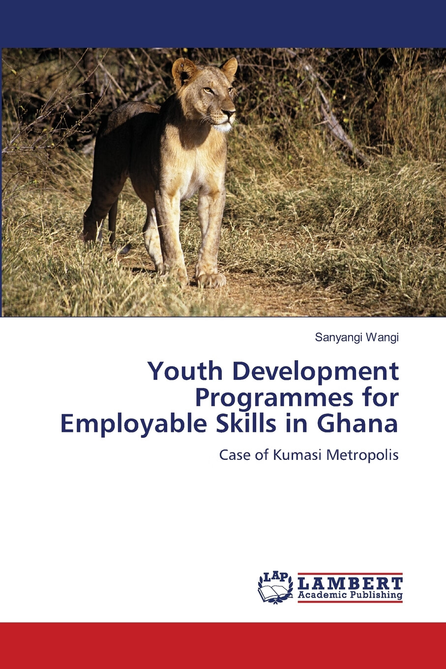 【预售按需印刷】youth development programmes for employable