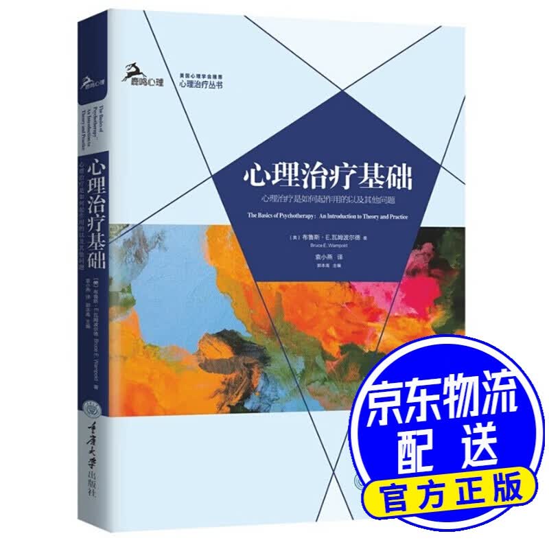 心理治疗基础：心理治疗是如何起作用的以及其他问题