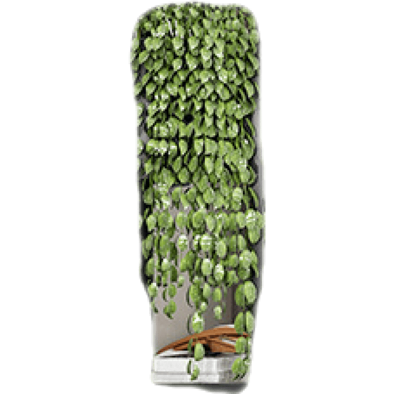 可定做 精甄 北欧屏风隔断置物架客厅装饰墙入户轻奢简约现代网红进门遮挡玄关 黑色:长90*25*220cm高 整装