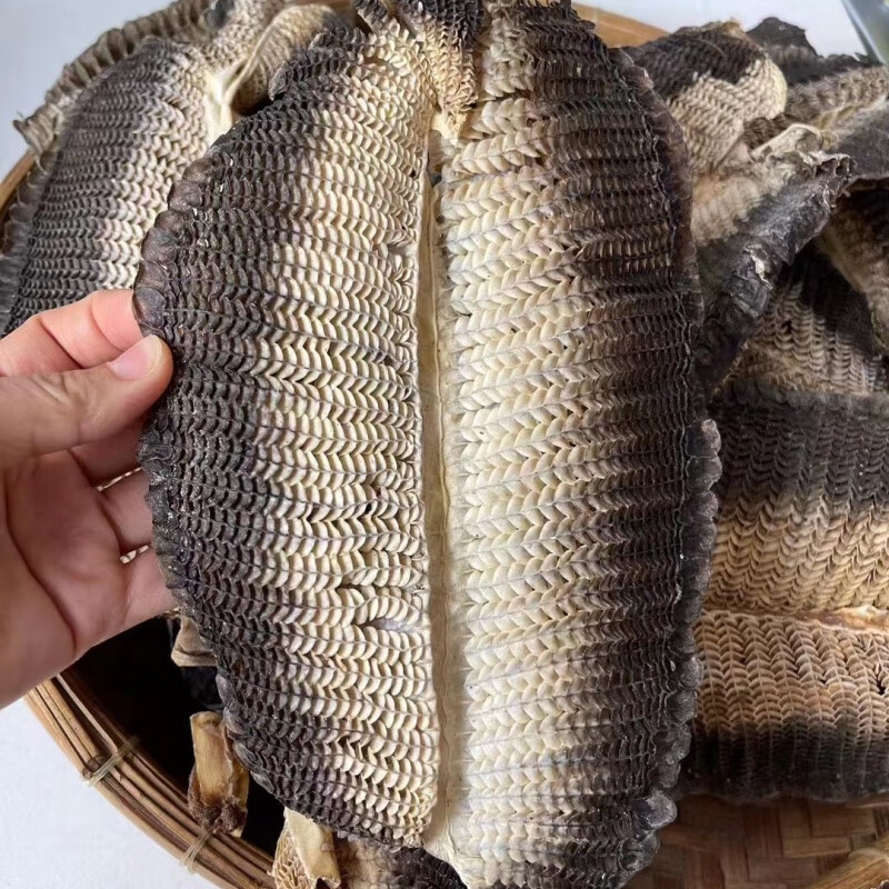 虾鹏彭朋鳃蝠鲼鳃角鱼鳃畚斗鱼鳃鱼鳃海味海鲜干货湛江膨鱼鳃 50克一