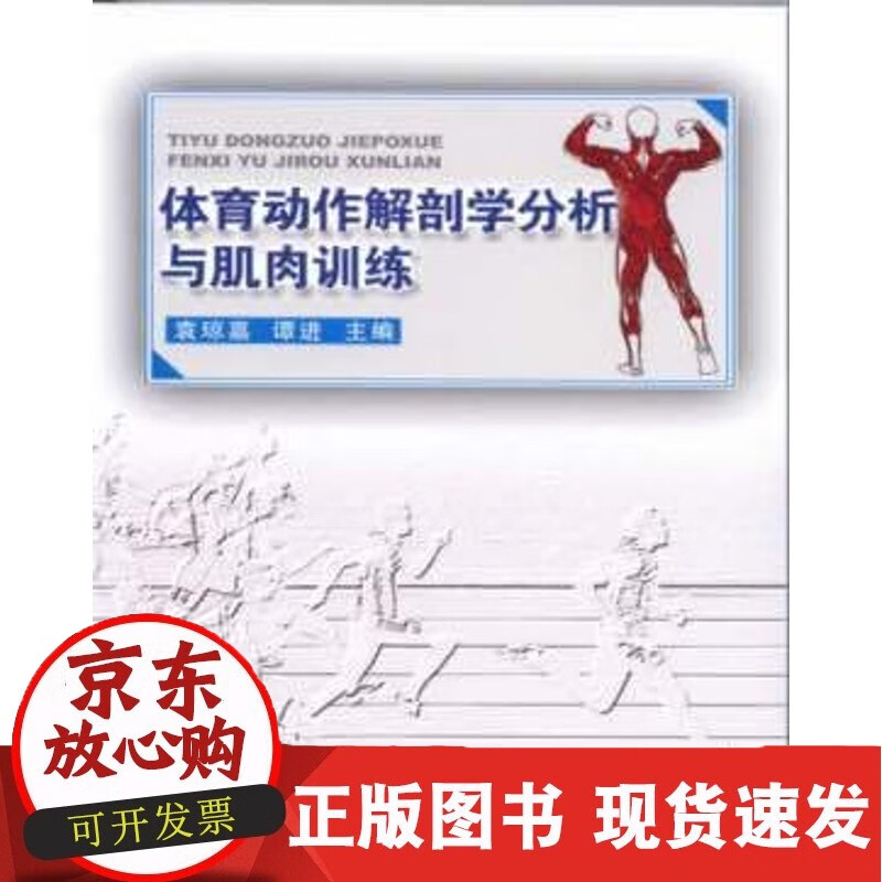 C 体育动作解剖学分析与肌肉训练