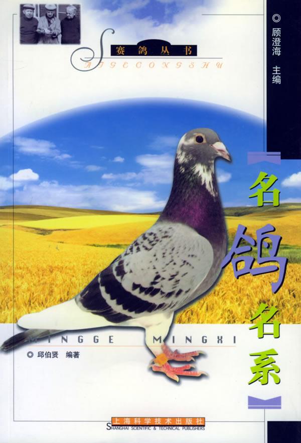名鸽名系 邱伯贤 编著 上海科学技术出版社【正版图书】