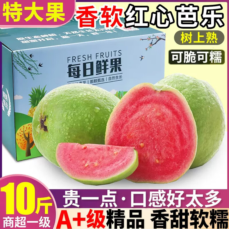 手机芭乐价格波动网|芭乐价格历史