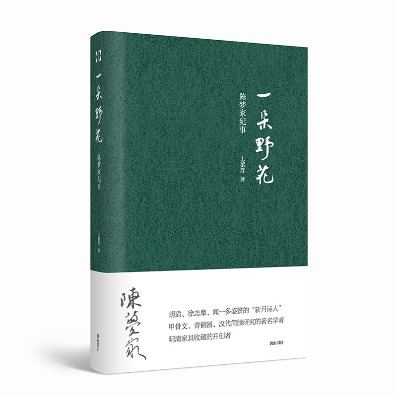 一朵野花:陈梦家纪事 16开精装 从出色的"新月诗人"到卓越的考古学家