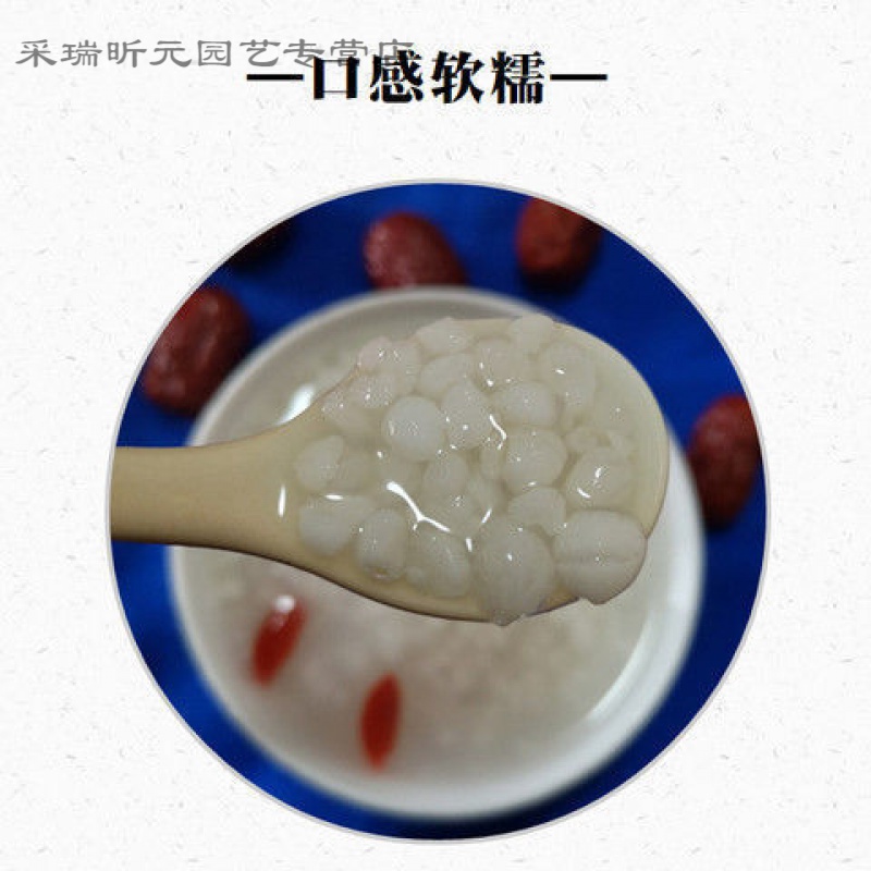 速缘乐福建新货农家糯薏米非贵州小薏米五谷杂粮煮粥薏米仁 糯薏米1斤