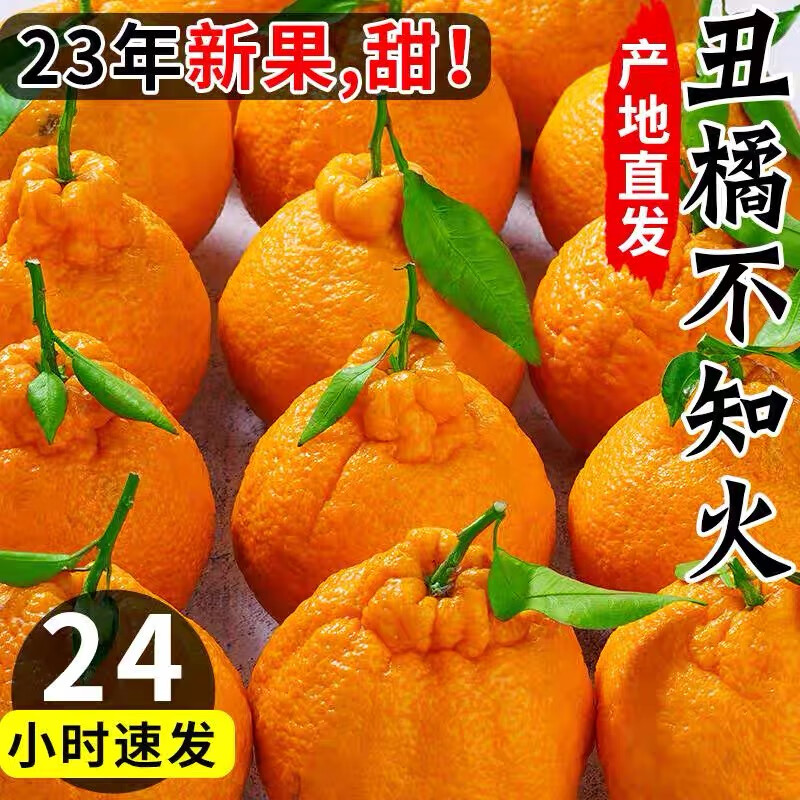 三颂正宗四川丑橘5斤装 新鲜水果不知火丑柑甜橘子 柑橘粑粑柑耙耙柑