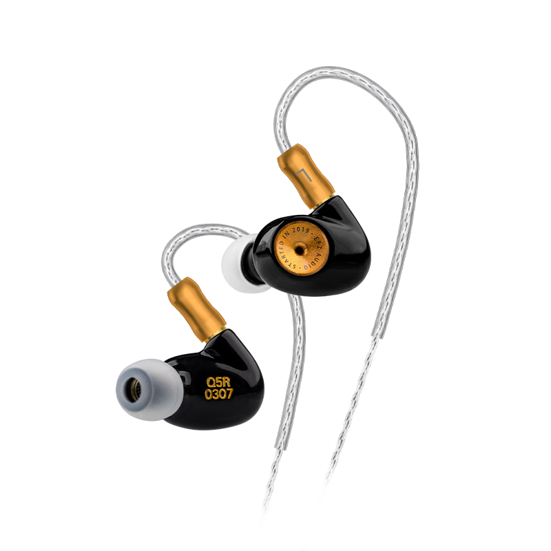 EPZ Q5 新款旗舰版发烧级音乐树脂有线耳机 可换线可定制入耳式动圈耳塞 高保真低失真高解析流行入门 优雅黑【无麦 1.2米 3.5mm】