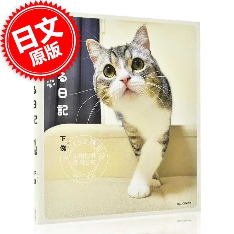 现货 进口日文 萌宠写真 もちまる日記 youtube人气猫咪