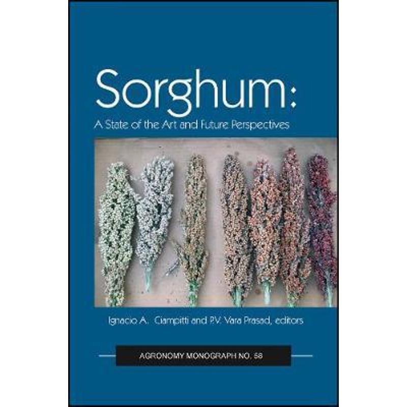 预订sorghum:state of the art and future perspectives