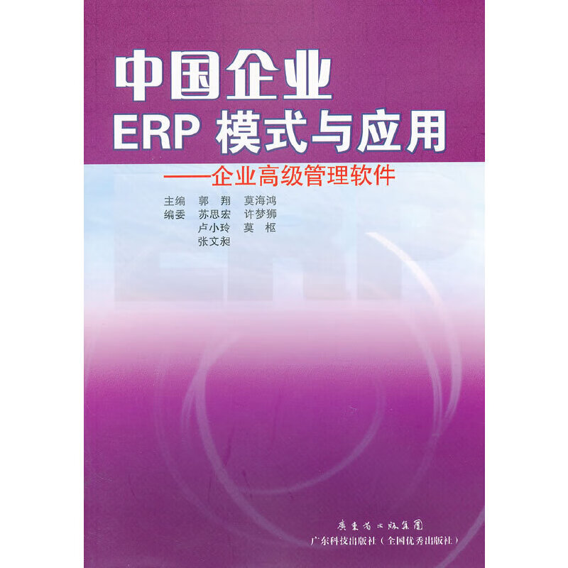 中国企业ERP模式与应用