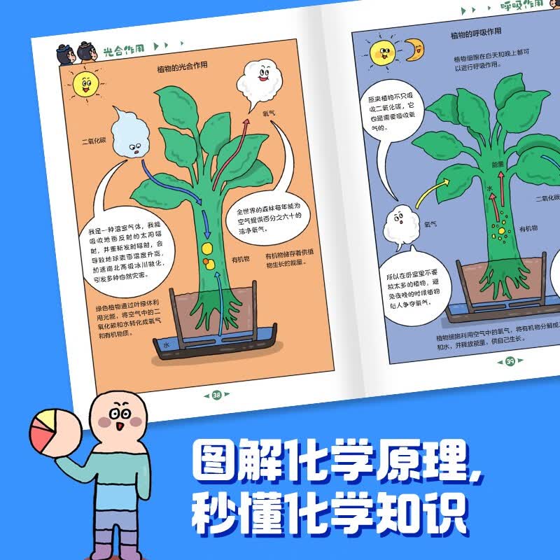 图 4
