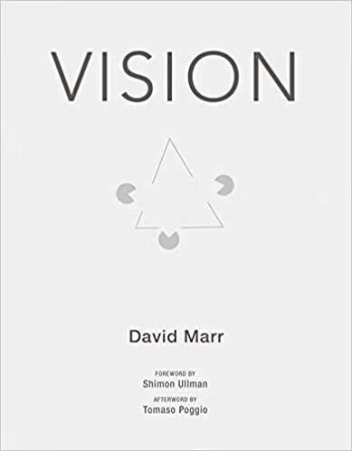 现货Vision