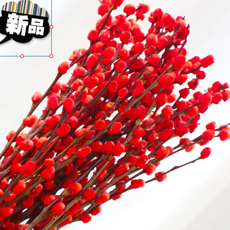 干花花束真花银柳真花年宵花卉彩色鲜枝水养植物红色干花室内客厅盆栽