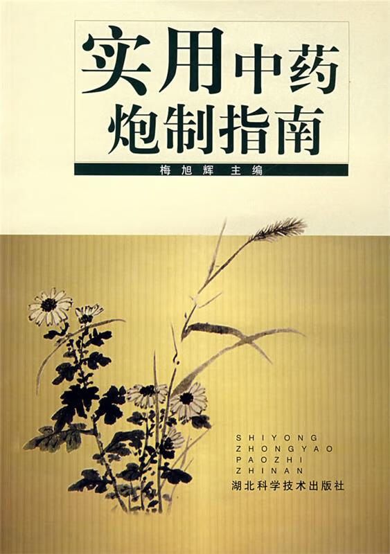 实用中药炮制指南 梅旭辉 主编【正版】