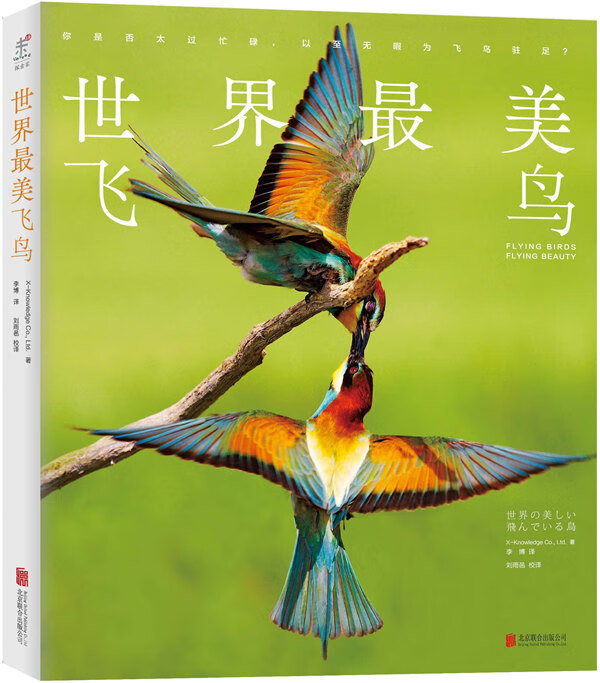世界美飞鸟