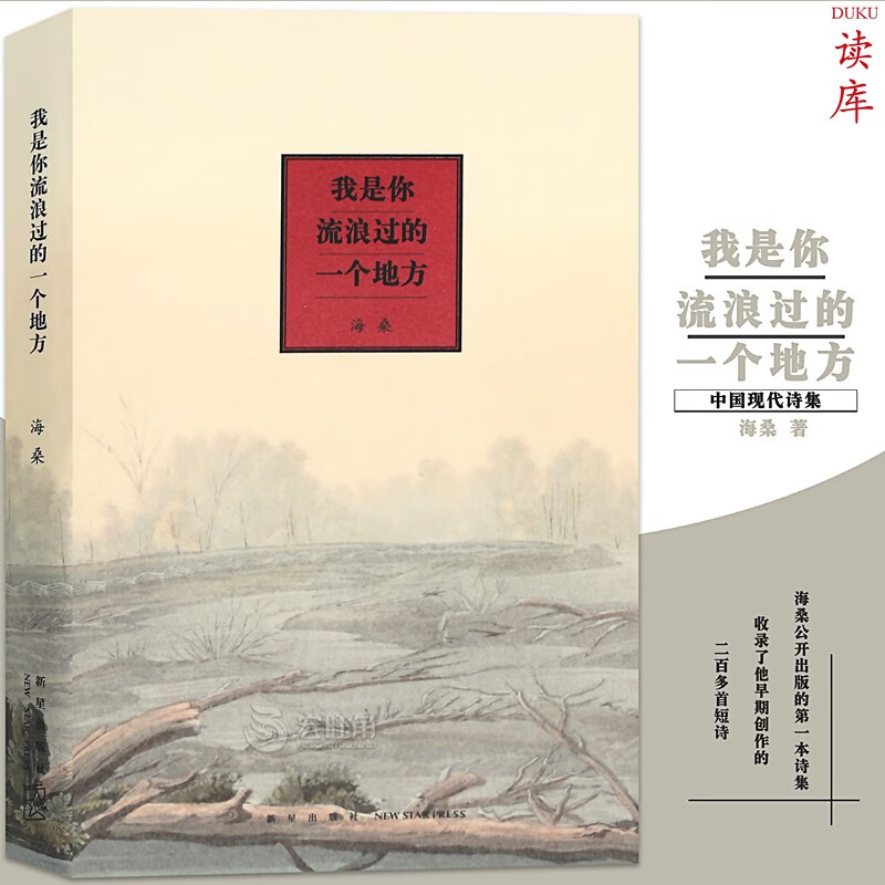 现货正版 海桑诗集《我是你流浪过的一个地方》海桑诗集 第一册 随身迷你小小口袋书小书 文艺诗集情书 读库