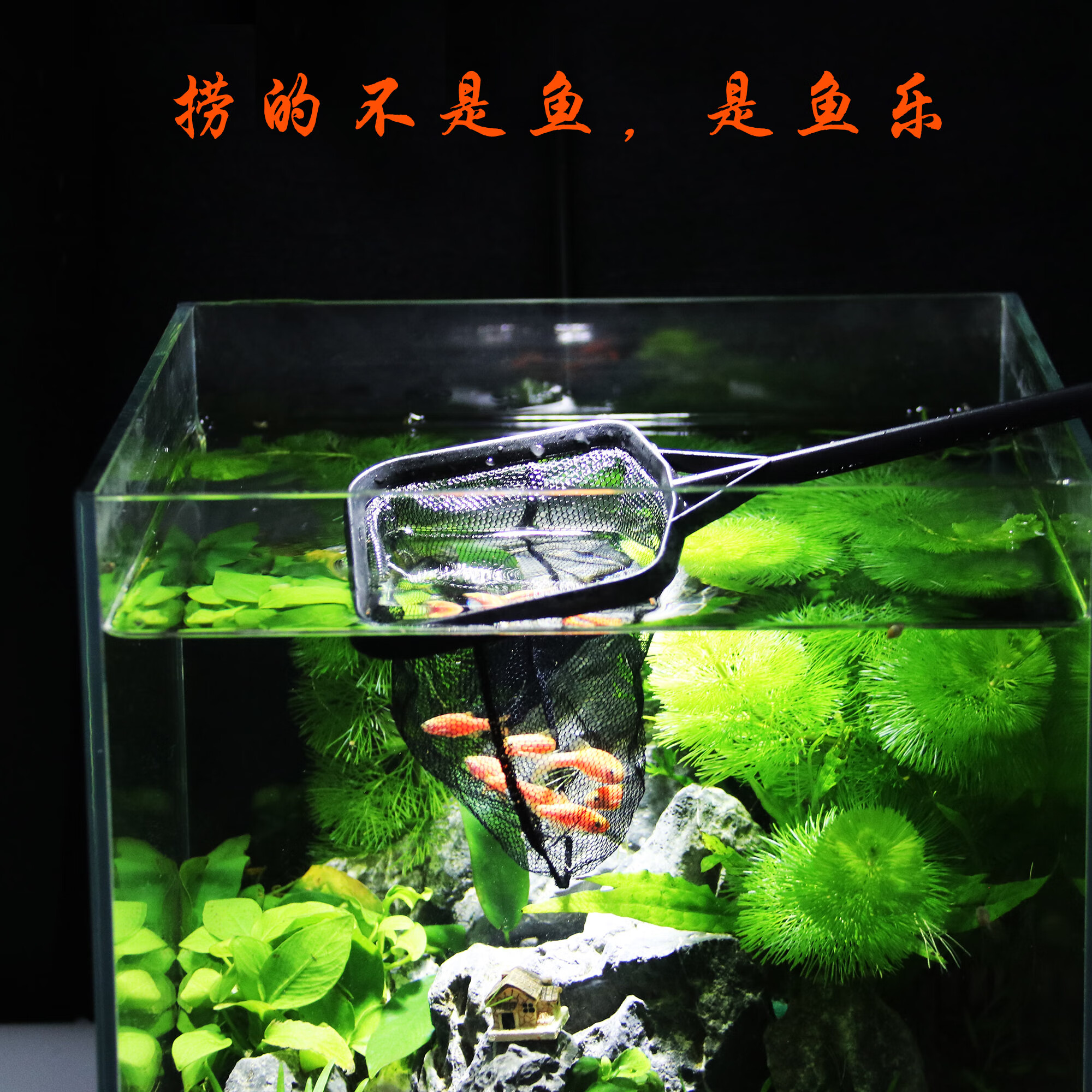 鱼网金鱼观赏鱼缸超密鱼捞渔捞水族箱抄网捞鱼网兜抄 方形3d渔捞(小号