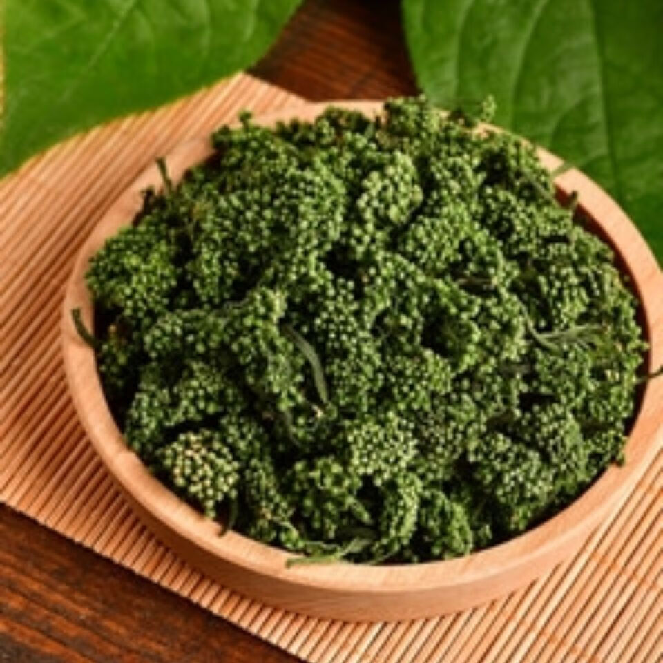 人参花茶 人参花绿人参花茶足年大花人参长白山人参花 参花 人参花蕾