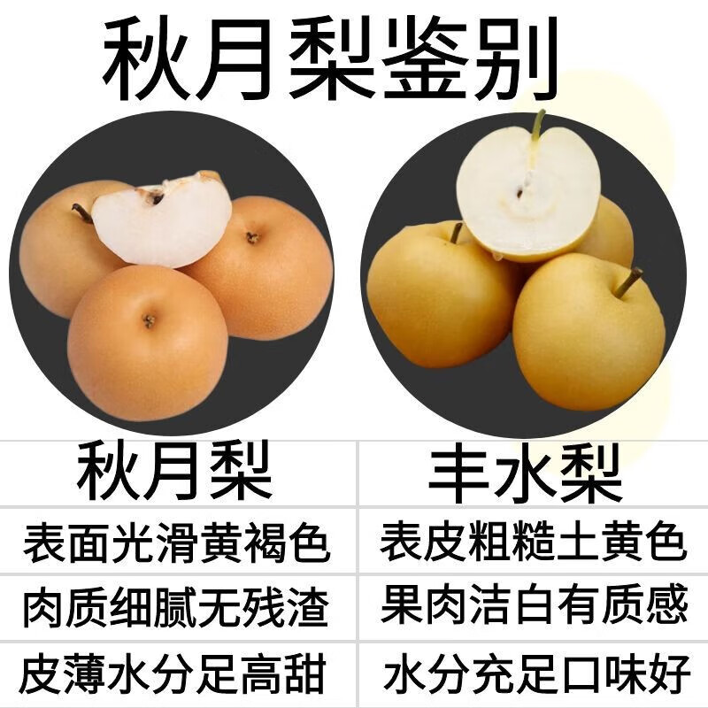 捌零鲜生物语山东正宗保真秋月梨 新鲜脆甜冰糖梨子水果 中秋礼盒送礼产地直发 净4.5斤手挑严选果【保真秋月梨脆甜多汁】单果250g起