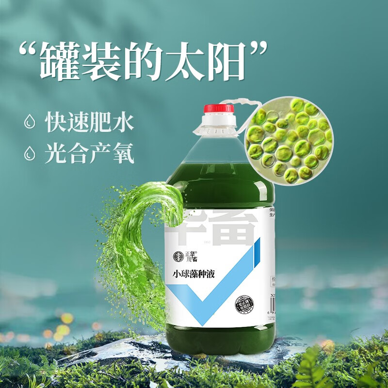 关于水产活水丹的信息 关于水产活水丹的信息（关于水产活水丹的信息介绍） 水产