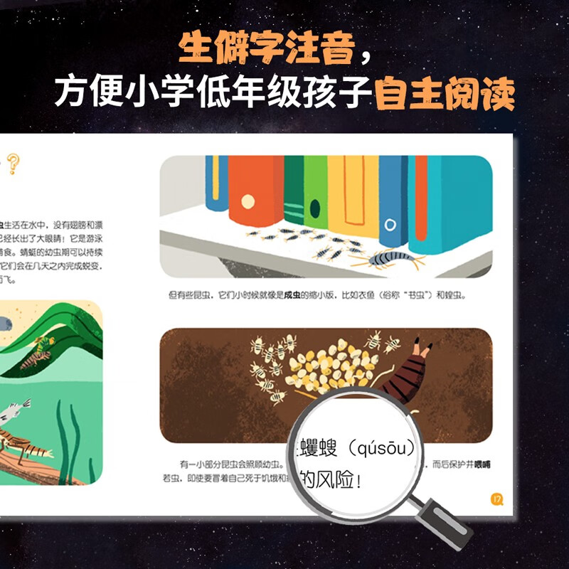 我的小问题 第4-6辑(共25册礼盒装) 4-8岁科普启蒙绘本亲子阅读儿童书籍博物大百科十万个为什么满足好奇心 礼物礼品书儿童节礼物 我的小问题 第4-6辑礼盒装
