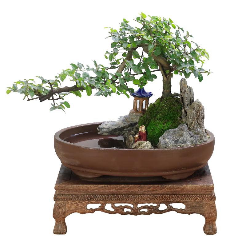 �������СҶȸ÷�辰ɽˮ��ɽֲ����׮������׮�칫���ڿ���������ֲ���� ɽˮ�辰����Բ�裩ȸ÷ 169Ԫ