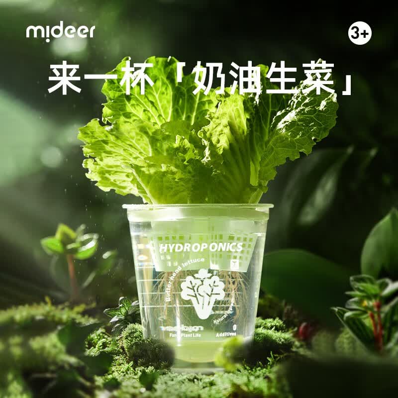 弥鹿（MiDeer）儿童植物种植观察窗阳光房小盆栽玩具小学生幼儿园暑假生日礼物 【水培款1】水培生菜-送营养粉
