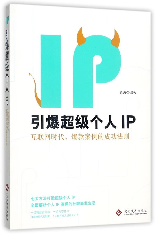 互联网时代.爆款案例的成功法则