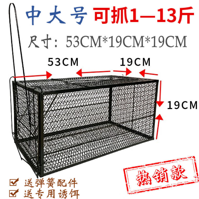 十种自制简易捕猫器图片