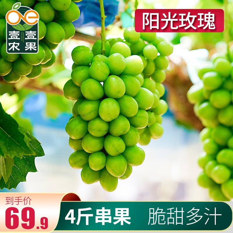 京东超市 2021-09-16 - 第21张  | 最新购物优惠券