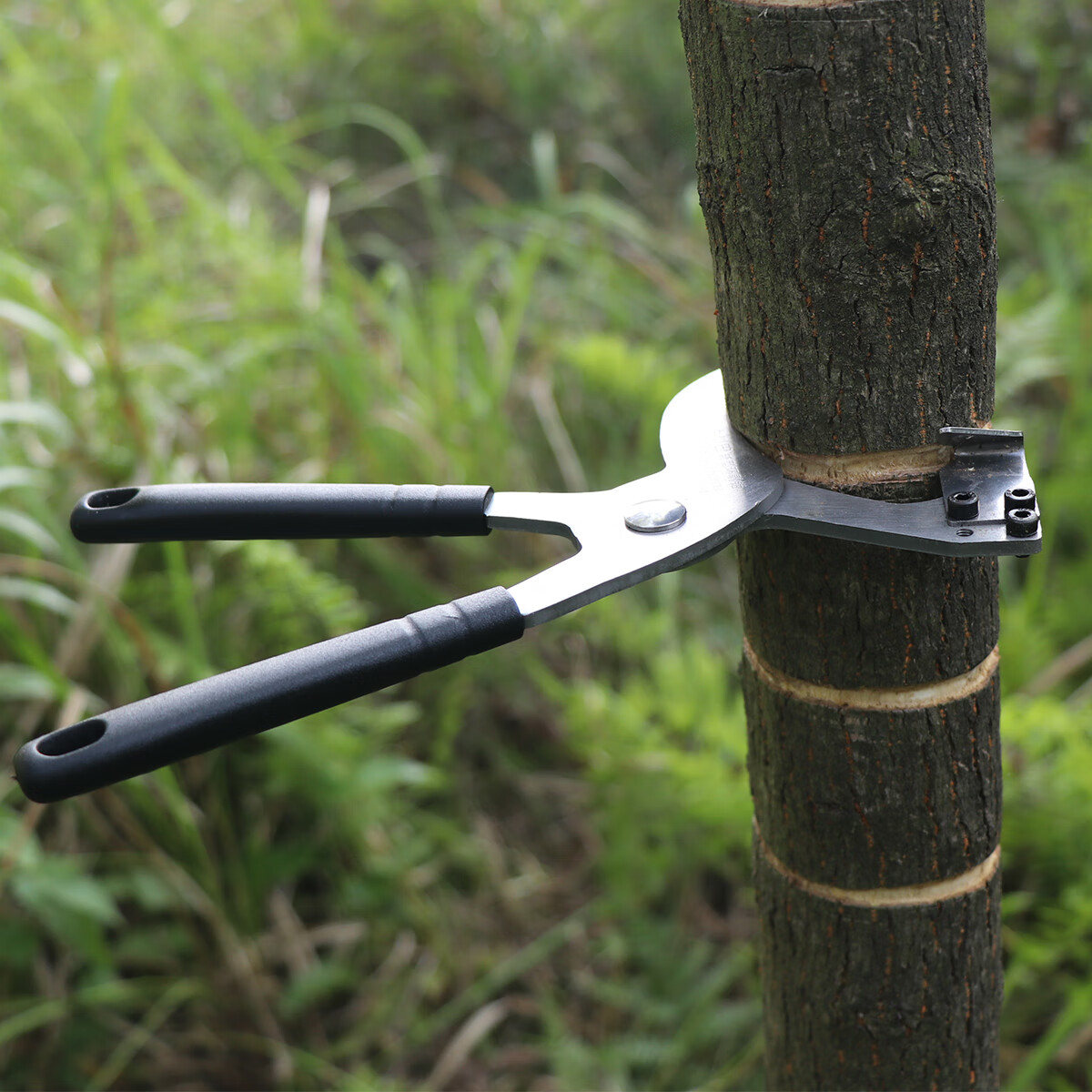 勋狸粑新型果树可调节环剥刀苹果枣树环柑橘剥器环割刀枇杷剥树皮