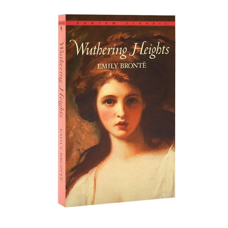 Wuthering Heights-Mark Twain 呼啸山庄 图书