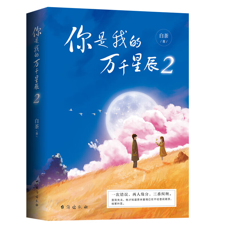 你是我的万千星辰 2 白茶 台海出版社 