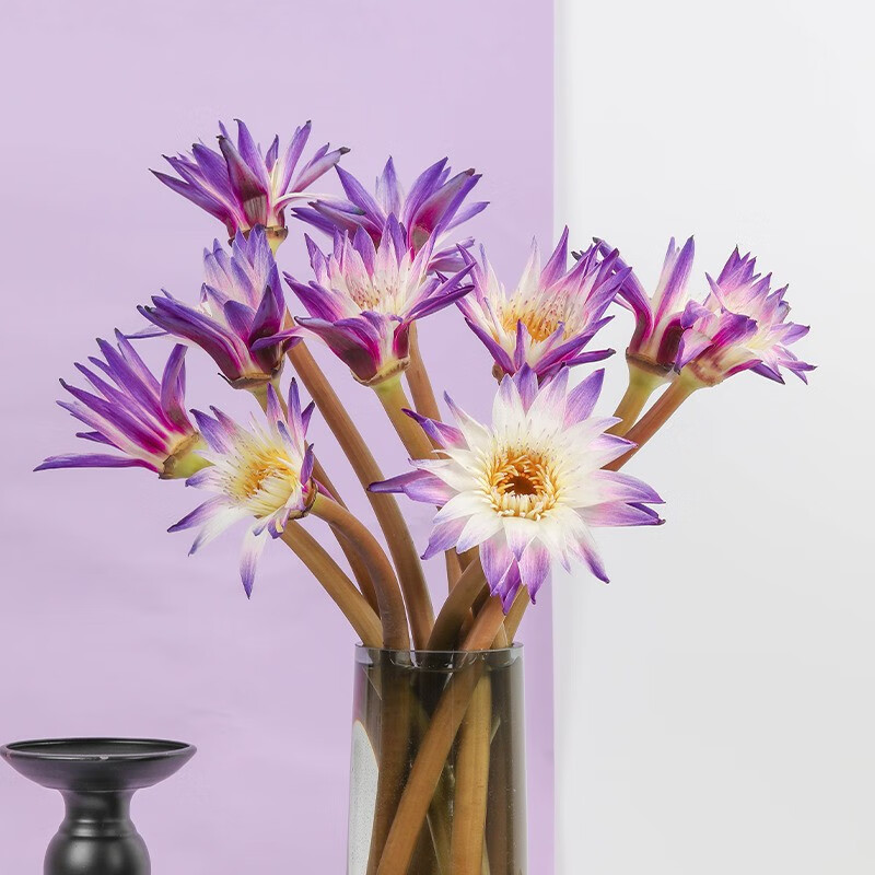 鲜花速递价格行情走势图|鲜花速递价格比较