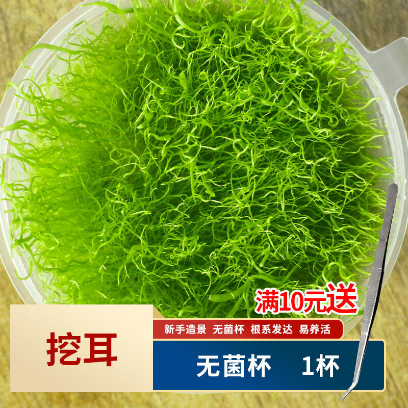 椒草 相关京东优惠商品排行榜 3 价格图片品牌优惠券 虎窝购 椒草 相关京东优惠商品排行榜 3 价格图片品牌优惠券 虎窝购