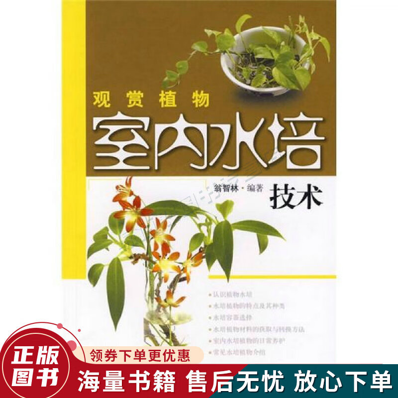 观赏植物室内水培技术