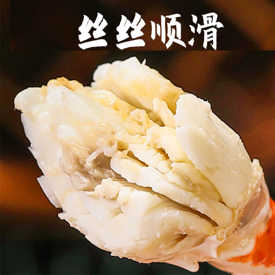 莱州湾梭子蟹鲜活新鲜特大海蟹 飞蟹 白蟹 海鲜螃蟹中秋礼盒福利 梭子蟹鲜活 每只1斤以上 10只装