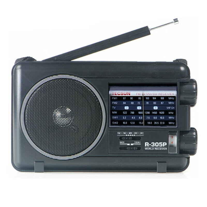 德生（Tecsun） R-305P全频收音机中波老人半导体 本款+电源适配器