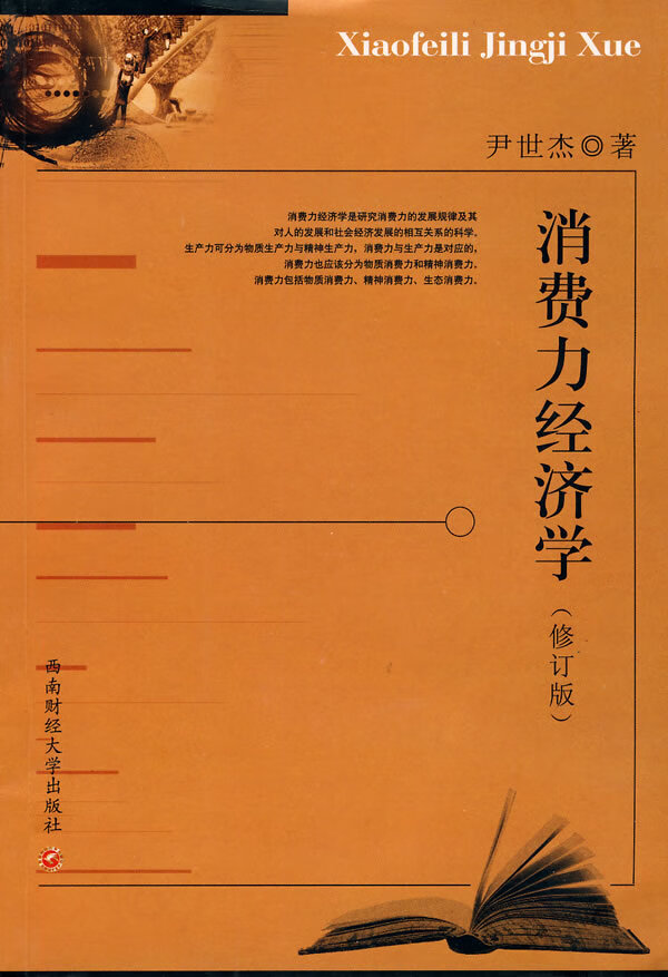 消费力经济学【正版图书】