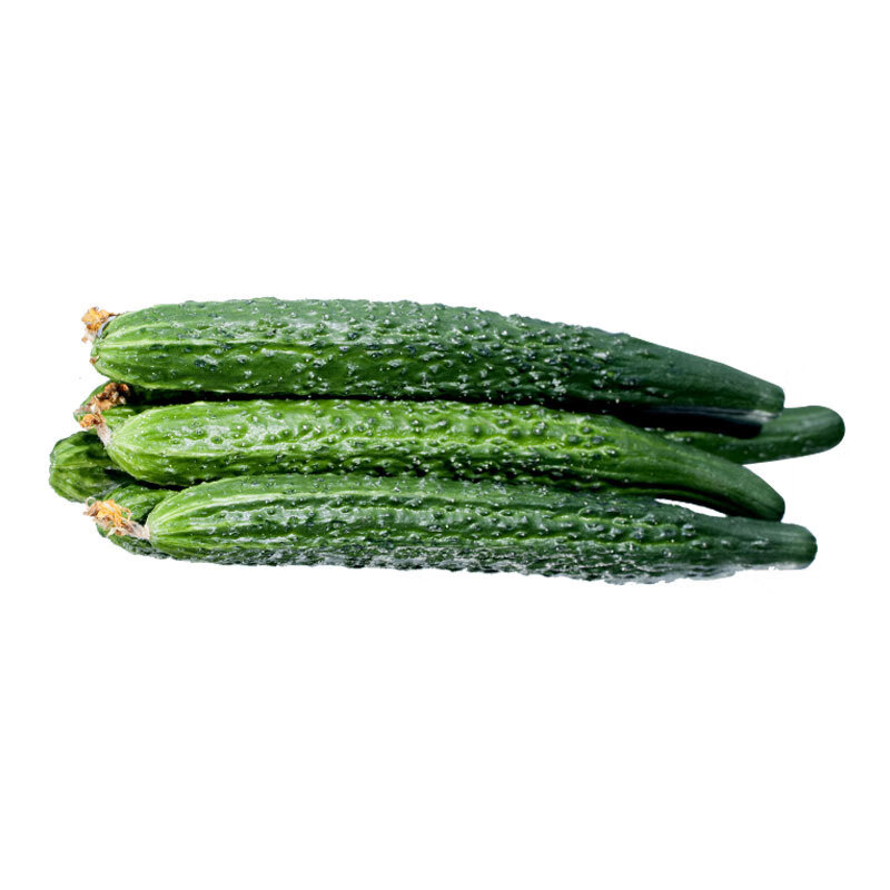 密云助农馆 绿黄瓜 青皮长黄瓜 新鲜蔬菜 1000g