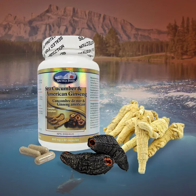 加拿大进口arctica food北极食品海参西洋参复合胶囊.