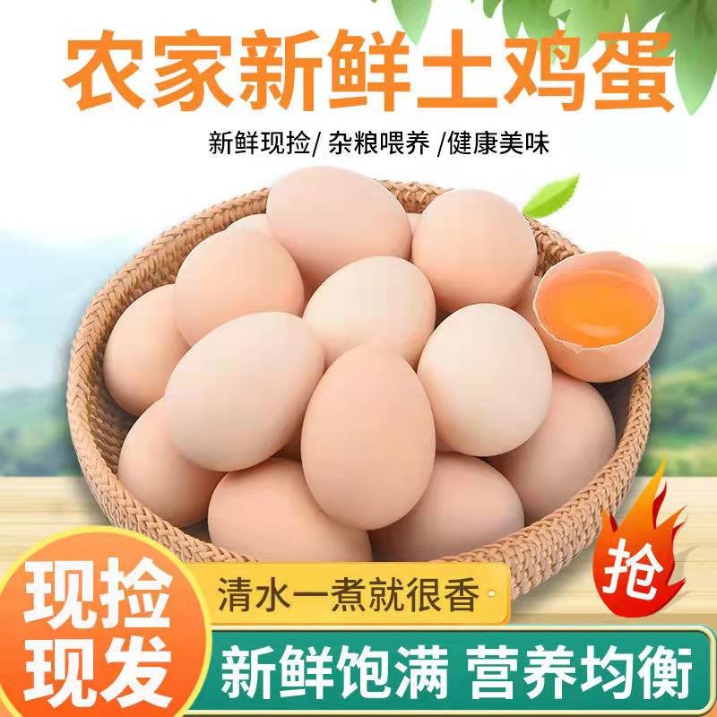 京东直接查看蛋类价格走势|蛋类价格走势