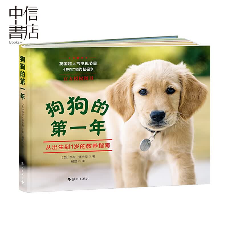 狗狗的年从出生到1岁的教养指南