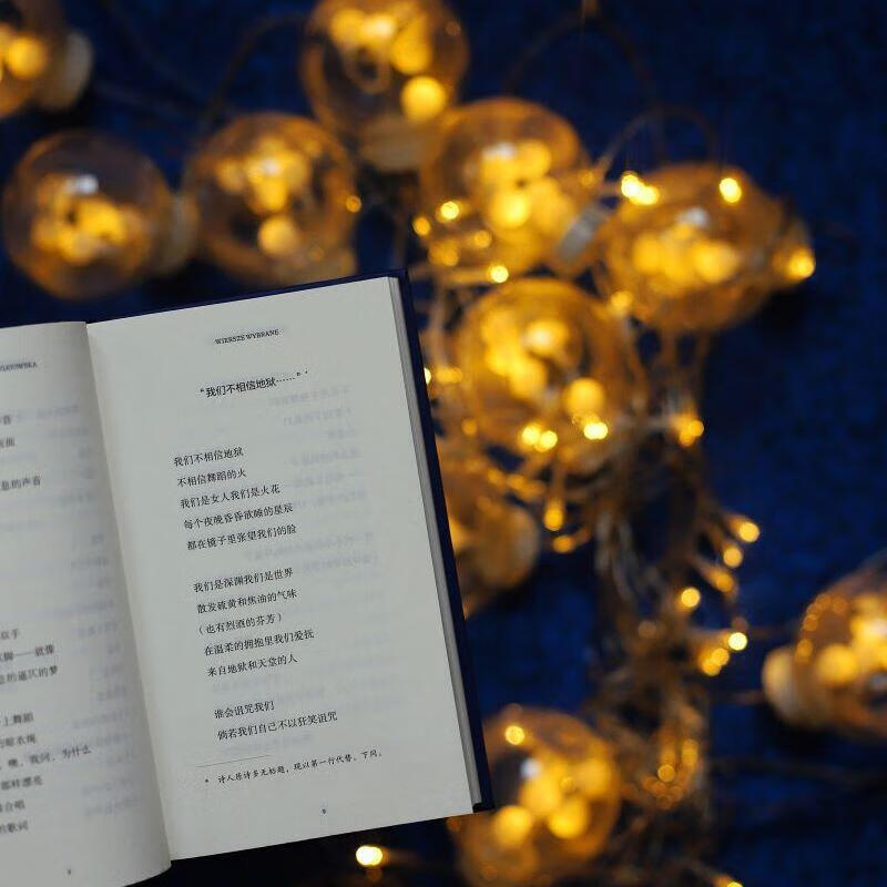 温柔的确定性 图书