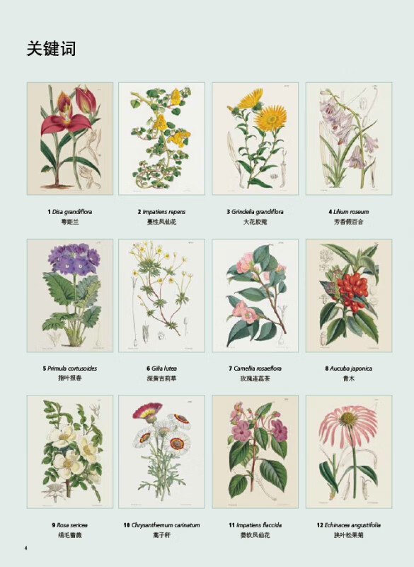 英国皇家植物园植物图谱(1显花植物)截图